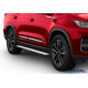 Пороги Подножки Chery Tiggo 7 2019- / 7 Pro 2020- / Tiggo 8 2020- / Exeed LX 2022 / 7L 2024 - стиль "Slim Silver" Пороги Подножки Chery Tiggo 7 2019- / 7 Pro 2020- / Tiggo 8 2020- / Exeed LX 2022 / 7L 2024 - стиль "Slim Silver"