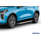 Пороги Подножки Haval Jolion 2024- FWD/ Haval Jolion 2024- 4WD/ Haval H3 2024- 4WD стиль "Bmw-Style" Пороги Подножки Haval Jolion 2024- FWD/ Haval Jolion 2024- 4WD/ Haval H3 2024- 4WD стиль "Bmw-Style"