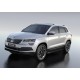 Пороги Подножки для Skoda Karoq 2020-/ Volkswagen Taos 2021- стиль "Premium"