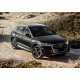 Пороги Подножки для Audi Q5 2017- стиль "Premium-Black"