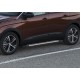 Пороги Подножки для Peugeot 3008 2017- стиль "Bmw-Style"