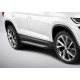 Пороги Подножки для Skoda Kodiaq 2017- стиль "Bmw-Style"