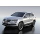 Пороги Подножки для Skoda Karoq 2020-/ Volkswagen Taos 2021- стиль "Bmw-Style"