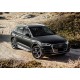 Пороги Подножки для Audi Q5 2017- стиль "Bmw-Style"