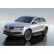 Пороги Подножки для Skoda Karoq 2020-/ Volkswagen Taos 2021- стиль "Silver"