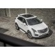 Пороги Подножки для Cadillac XT5 2017- стиль "Silver"